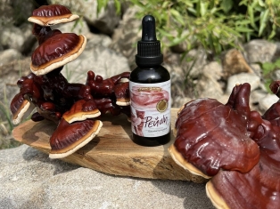 1247890187138798 3761769355053051556 n