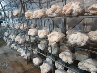 1295506769043806 2023417168779403166 n